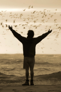 Into the Wild [Guaranteed]